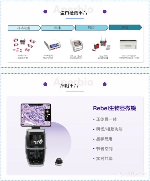 分子检测技术-点亮教学中生命科学之路