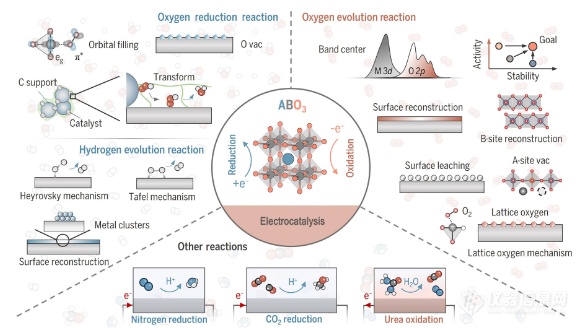 先进表征技术解析钙钛矿氧化物的电催化潜力！