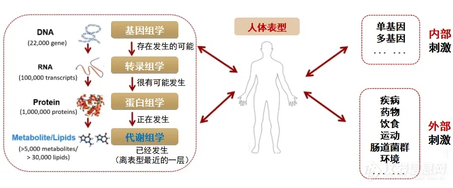 代谢组学，妙手何来？｜迈理奥，开拓代谢组学新科技的先锋