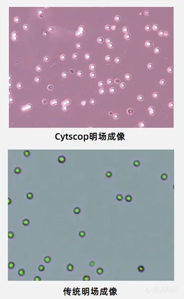 浚真专利光学技术赋能高精准细胞计数