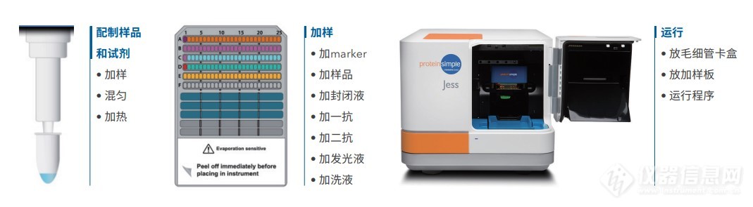 Jess多功能全自动蛋白质表达定量分析系统