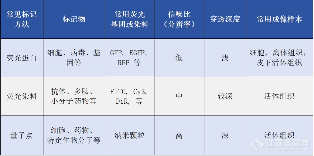 动物活体成像 - 荧光成像实验技巧