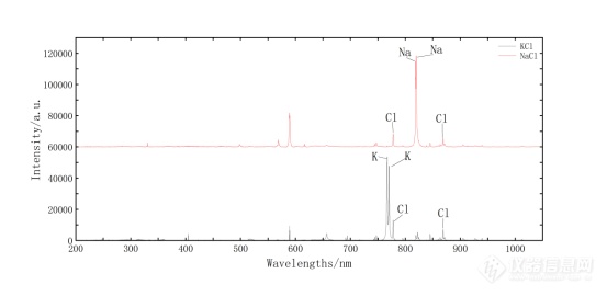 激光诱导击穿光谱技术在钾盐和钠盐检测中的应用