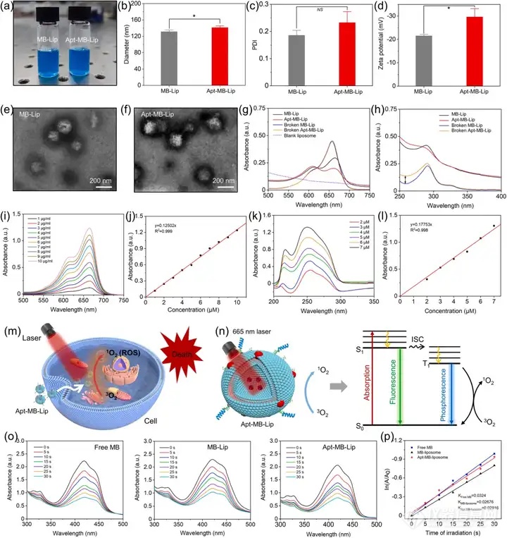 中南大学《SENSOR ACTUAT B-CHEM》: 微流控技术制备适配体修饰的脂质体探针用于瞬态