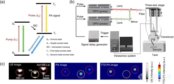 中南大学《SENSOR ACTUAT B-CHEM》: 微流控技术制备适配体修饰的脂质体探针用于瞬态