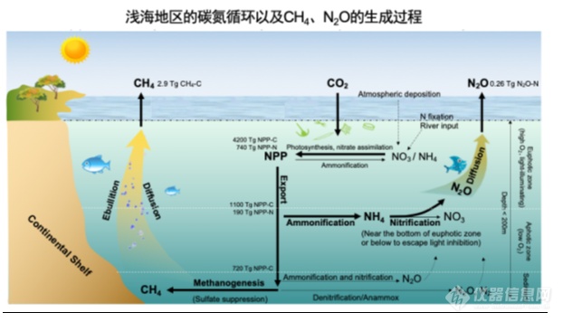 吴立冬研究员与合作者开发出海洋垂直深度分布算法，揭示未来海洋牧场降低甲烷排放的巨大潜力！