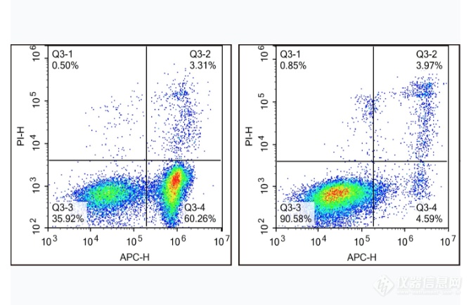 细胞凋亡检测结果
