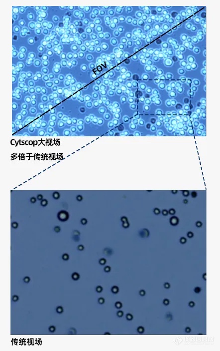 浚真专利光学技术赋能高精准细胞计数