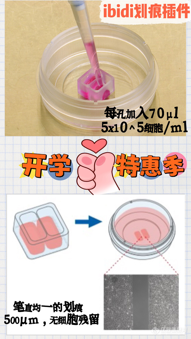 ibidi划痕插件系列产品开学季特惠|双重惊喜，等您来享~