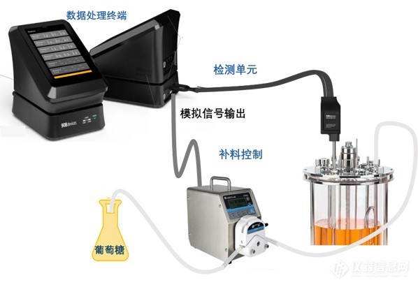 使用Maverick在线拉曼反馈控制葡萄糖流加帮助抗体表达工艺优化