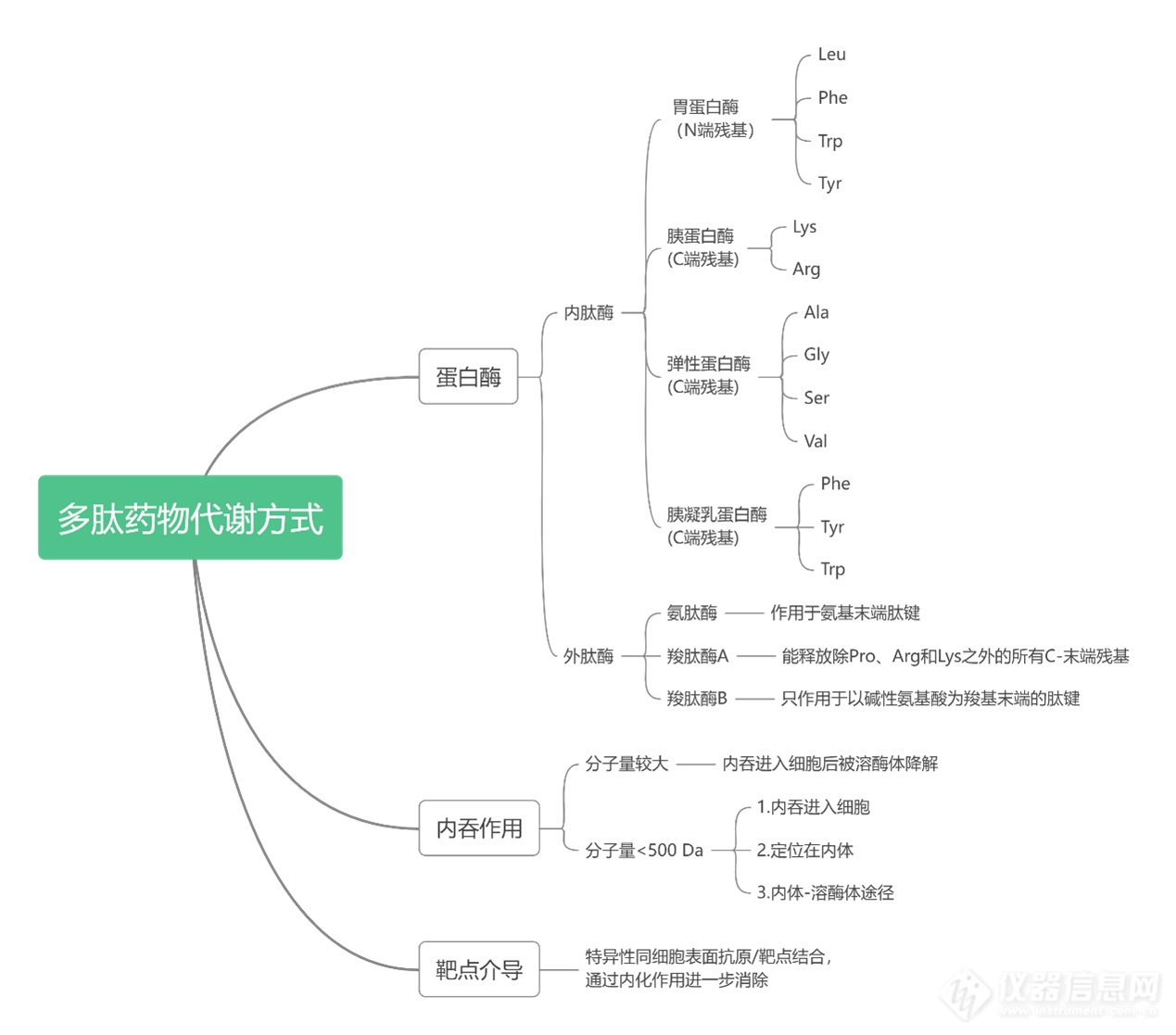 IPHASE/汇智和源 多肽类药物体外ADME研究一站式产品解决方案