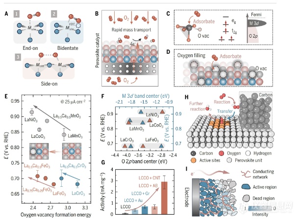 先进表征技术解析钙钛矿氧化物的电催化潜力！
