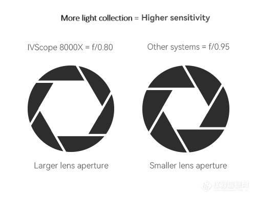 动物活体成像 - 荧光成像实验技巧