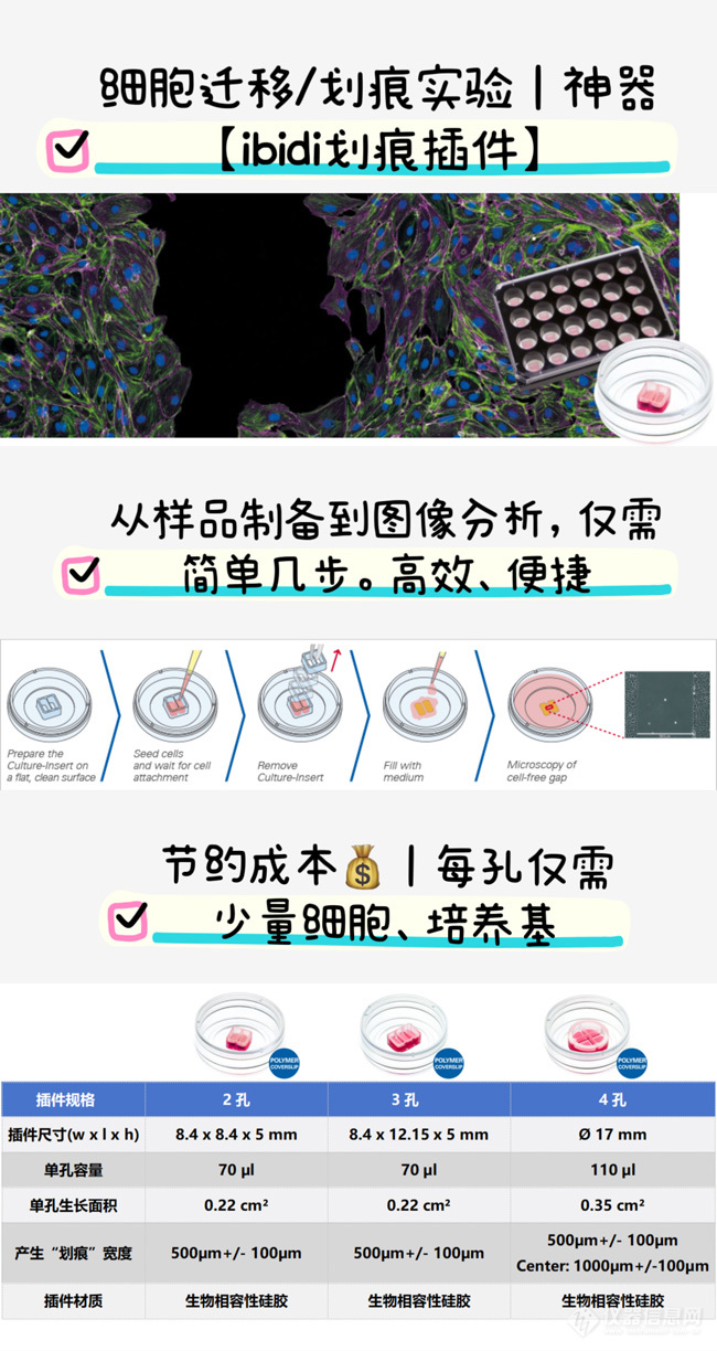 ibidi划痕插件系列产品开学季特惠|双重惊喜，等您来享~