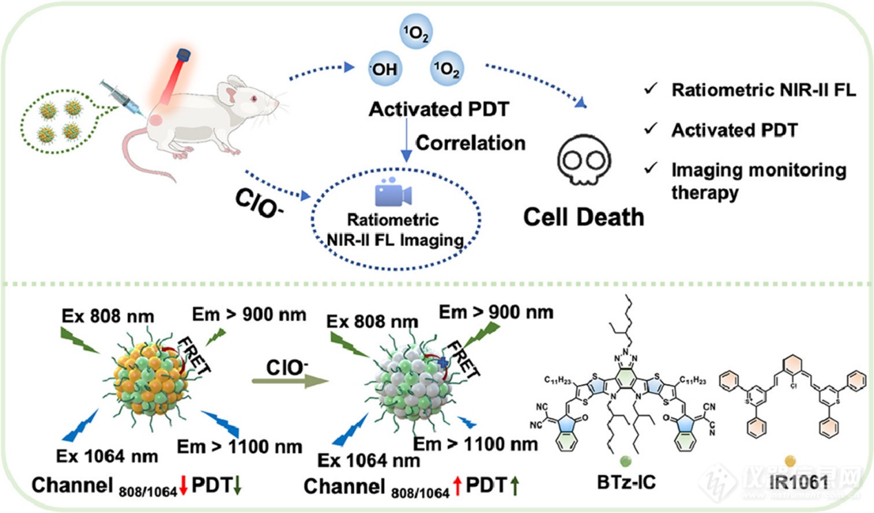 利用成像监测肿瘤激活光动力疗法的比例NIR-II荧光有机纳米探针