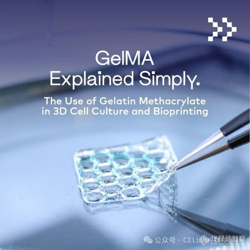 GelMA：组织工程与3D细胞培养的首选材料