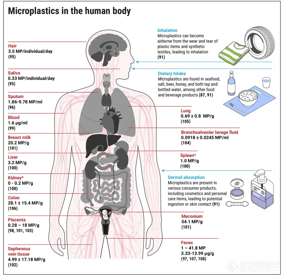 Science重磅综述：二十年的微塑料污染研究——我们学到什么？