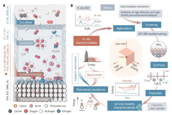 先进表征技术解析钙钛矿氧化物的电催化潜力！