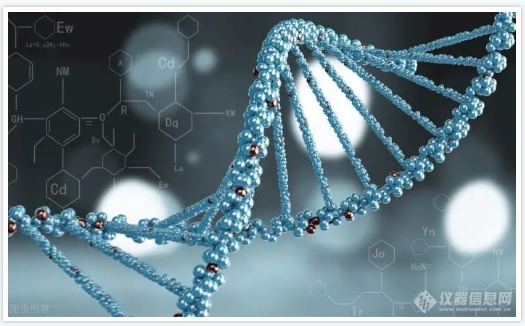 分子检测技术-点亮教学中生命科学之路