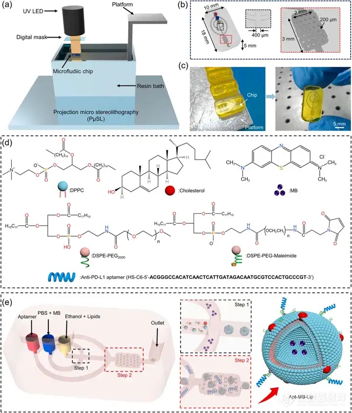 中南大学《SENSOR ACTUAT B-CHEM》: 微流控技术制备适配体修饰的脂质体探针用于瞬态