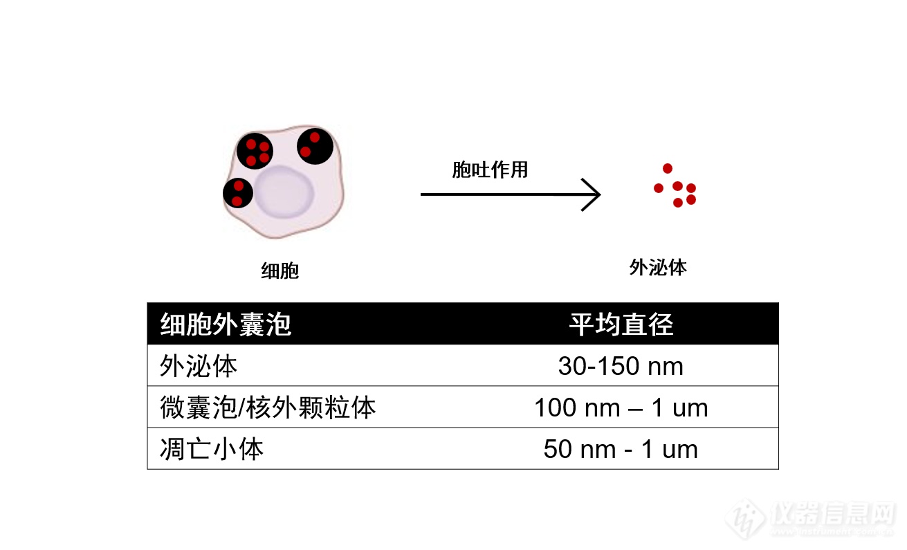 产品推荐|离心机在外泌体纯化中的应用