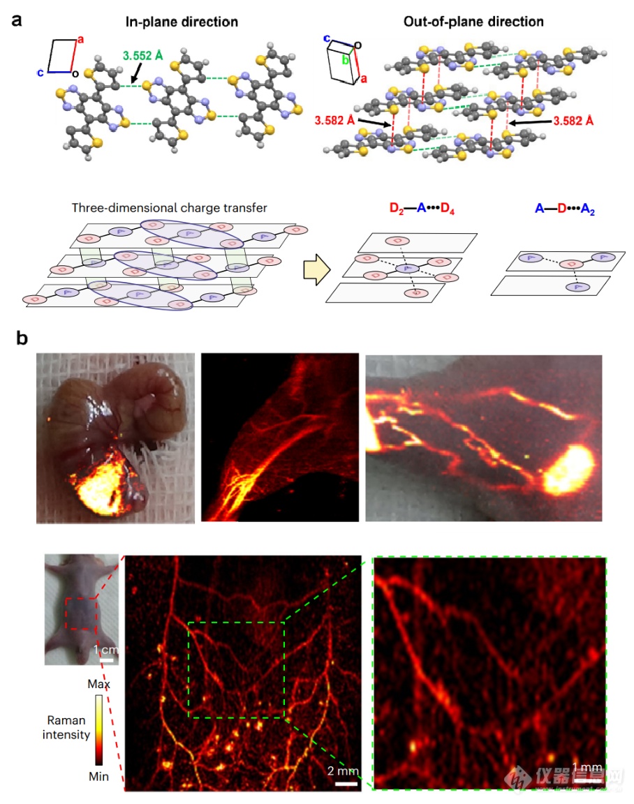Nat Biotechnol│上海交大肖泽宇教授团队合作揭示小分子不依赖基底增强、仅通过自身堆叠实现高灵敏的活体拉曼成像