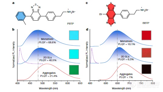 窦乐天团队Nature：钙钛矿超晶格新型聚集体兼具单分子/聚集体优势