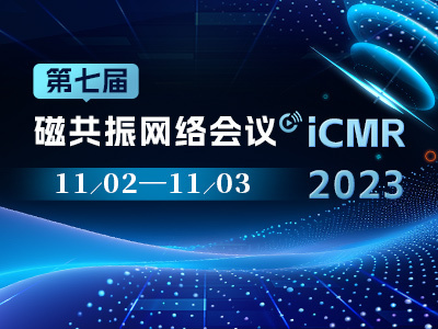 iCEM 2019