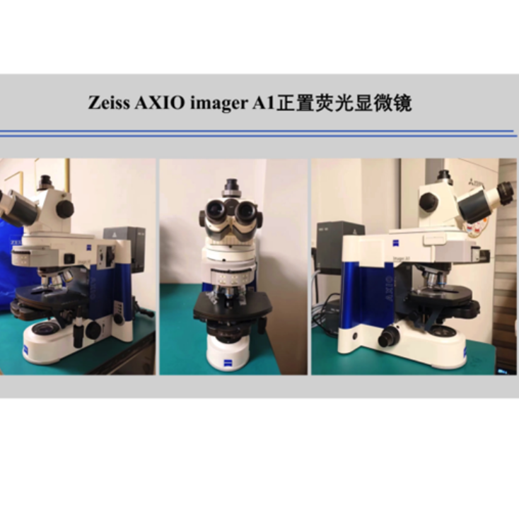 精品二手Zeiss AXIO imager A1 正置荧光手动显微镜