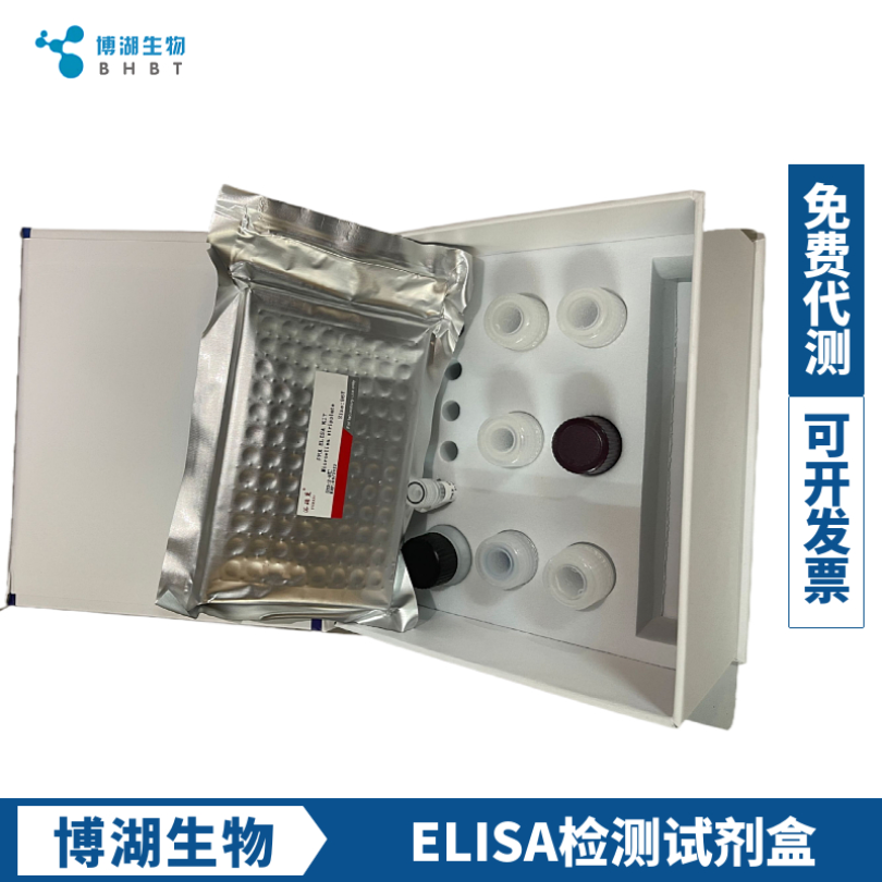 人抗甲型肝炎病毒抗体IgG(anti-HAV IgG)elisa试剂盒