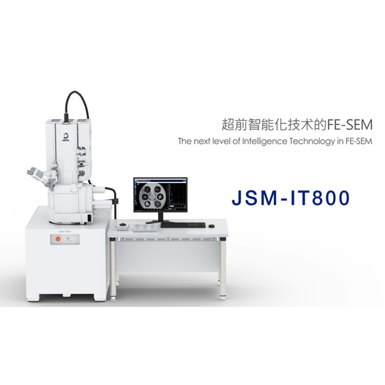 日本电子热场发射扫描电子显微镜JSM-IT800