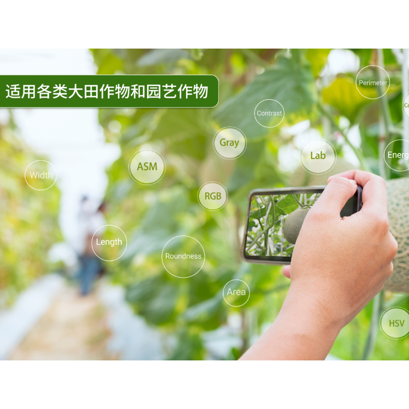 【低成本】植物表型自动化分析软件PhenoAI