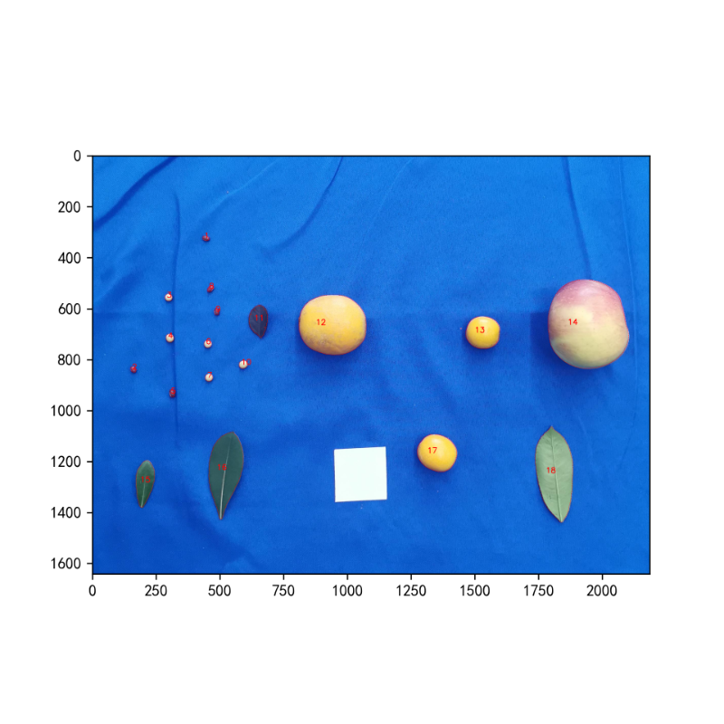 【低成本】植物表型自动化分析软件PhenoAI