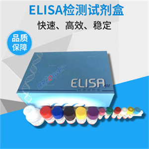 人HSP60 IgA抗体ELISA试剂盒