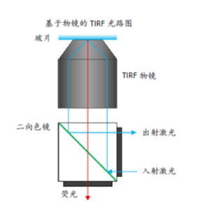 TIRF 显微镜