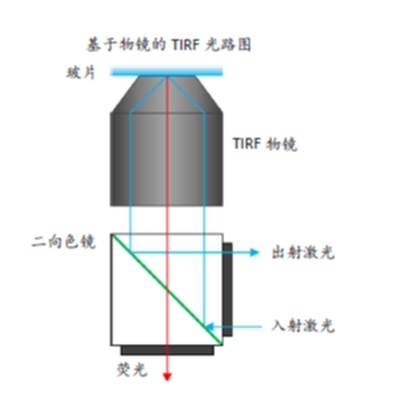 TIRF 显微镜