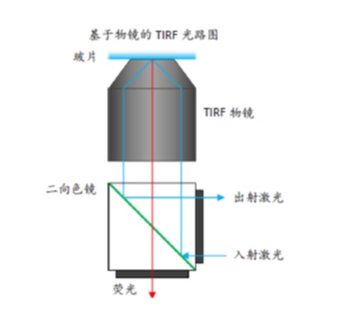 TIRF 显微镜