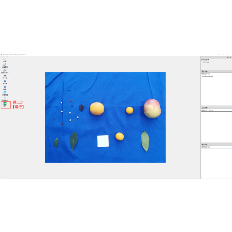 【低成本】植物表型自动化分析软件PhenoAI