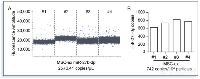 miRNA与dPCR：数字PCR精准定量MSC-ex中miR-27b-3，助力肝纤维化研究