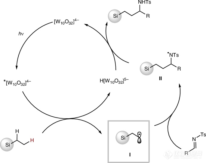 武汉大学提出β-硅效应下的C-H键官能化新策略！