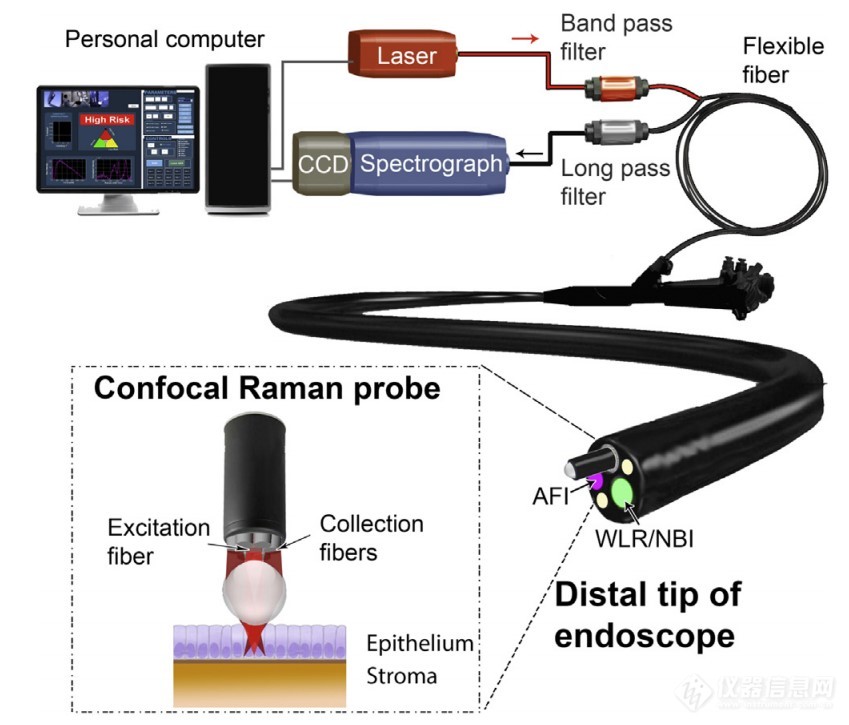 探秘拉曼光谱的应用潜力-内窥医用