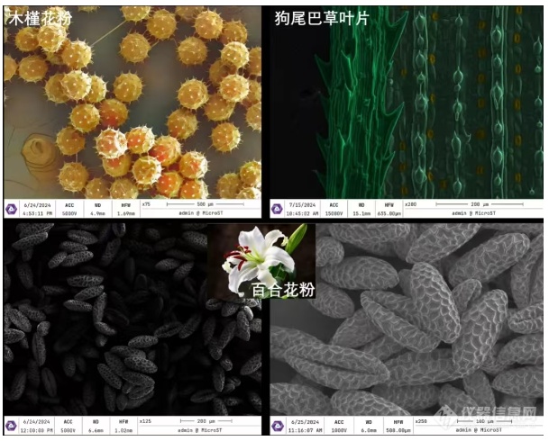 世界首台！国镜仪器发布自研冷场台式电镜，实现国内冷场扫描电镜零突破