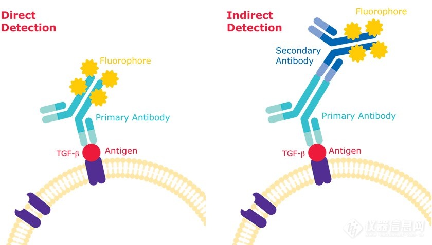 流式抗体用直接法检测抗原，免疫组化/荧光抗体常用间接法识别抗原
