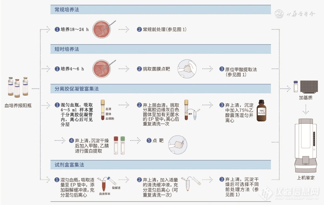 一谱识菌： MALDI-TOF MS 在病原微生物临床应用的专家共识