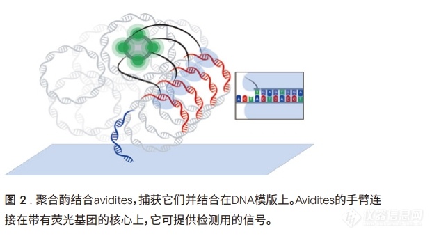 new2微信截图_20241023144601.png