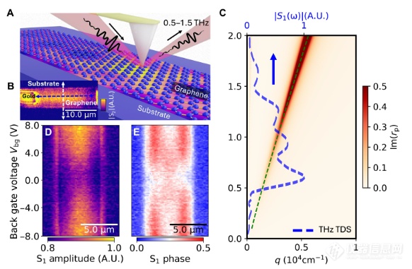 太赫兹显微镜揭秘石墨烯电子奇异行为！