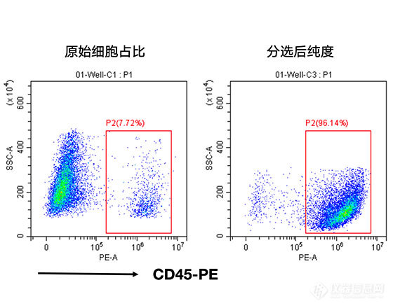 分选小鼠直肠癌肿瘤中的白细胞