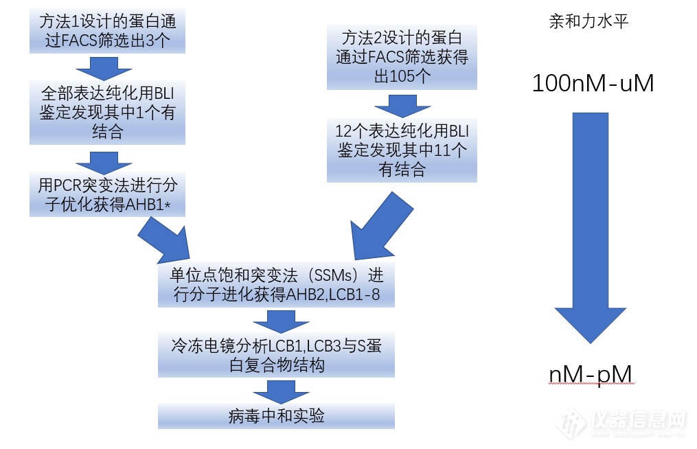 不可思议！诺奖得主David Baker的Binder亲和力有多强？