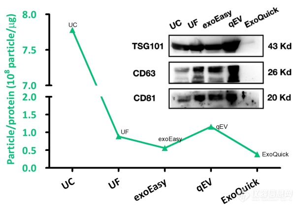 【应用文章】NanoCoulter评测五种细胞外囊泡分离方法：效率与纯度大比拼