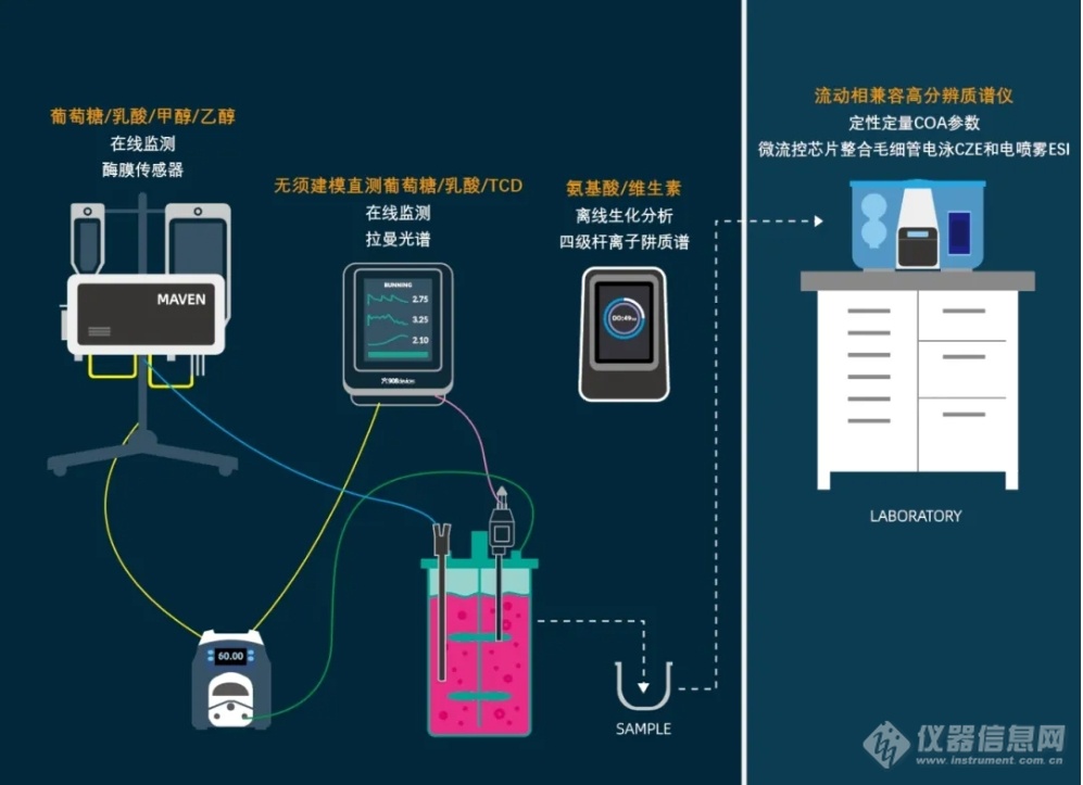 2024BIOCHINA华南会议回顾